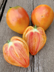 Load image into Gallery viewer, Tomato, 'Midnight Sun'