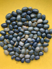 Load image into Gallery viewer, Bean, Pole Dry, 'San Bernardo Blue'