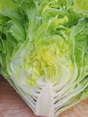 Load image into Gallery viewer, Lettuce, 'La Brillante'