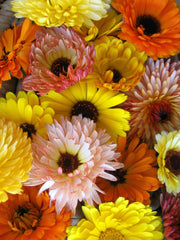 Load image into Gallery viewer, Calendula Mix