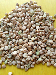 Load image into Gallery viewer, Cicerchia