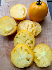 Load image into Gallery viewer, Tomato, 'Manyel'