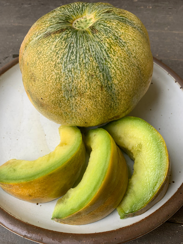 Melon, 'Moscatello' | Uprising Seeds