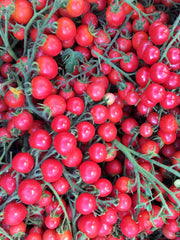 Load image into Gallery viewer, Tomato, 'Pinky'