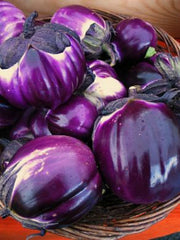 Load image into Gallery viewer, Eggplant, 'Violetta di Firenze'