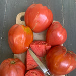 Load image into Gallery viewer, Tomato, 'Cuore Antico di Acqui Terme'
