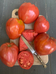 Load image into Gallery viewer, Tomato, 'Cuore Antico di Acqui Terme'
