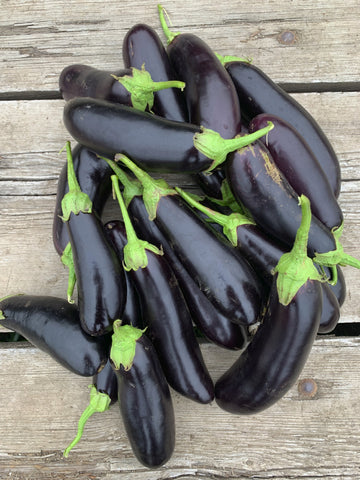 Eggplant