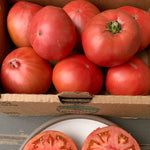 Load image into Gallery viewer, Tomato, 'Kurtovo Konare'
