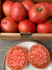 Load image into Gallery viewer, Tomato, 'Kurtovo Konare'

