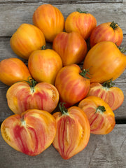 Load image into Gallery viewer, Tomato, 'Midnight Sun'
