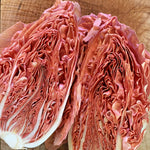 Load image into Gallery viewer, Radicchio (Rosa del Veneto), 'Jolanda'
