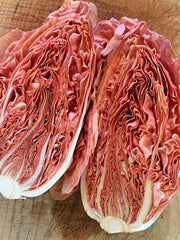 Load image into Gallery viewer, Radicchio (Rosa del Veneto), 'Jolanda'
