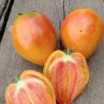 Load image into Gallery viewer, Tomato, 'Midnight Sun'
