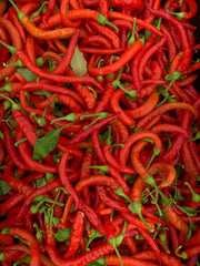Load image into Gallery viewer, Hot Pepper, 'Aci Sivri'
