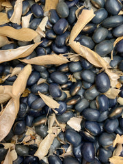 Load image into Gallery viewer, Bean, Pole Dry, 'San Bernardo Blue'
