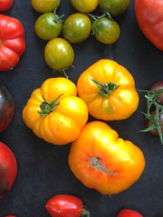 Load image into Gallery viewer, Tomato, 'Afghan'
