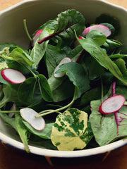 Load image into Gallery viewer, Nasturtium, 'Alaska'
