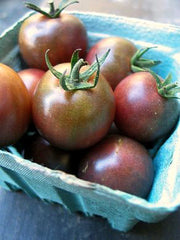 Load image into Gallery viewer, Tomato, 'Black Cherry'
