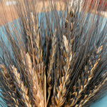 Load image into Gallery viewer, Wheat, 'Black Eagle'
