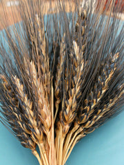 Load image into Gallery viewer, Wheat, 'Black Eagle'
