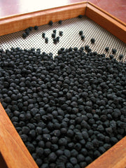 Load image into Gallery viewer, Garbanzo, 'Black Kabouli'
