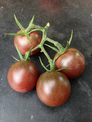 Load image into Gallery viewer, Tomato, 'Black Cherry'
