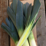Load image into Gallery viewer, Leek, 'Blaugruner Avano'
