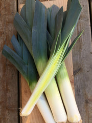 Load image into Gallery viewer, Leek, 'Blaugruner Avano'
