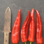 Load image into Gallery viewer, Sweet Pepper, 'Bridge to Paris'
