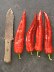 Load image into Gallery viewer, Sweet Pepper, 'Bridge to Paris'
