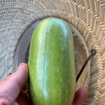 Load image into Gallery viewer, Carosello, 'Leccese Light Green'
