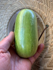 Load image into Gallery viewer, Carosello, 'Leccese Light Green'
