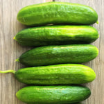 Load image into Gallery viewer, Cucumber, 'Çengelköy'
