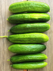 Load image into Gallery viewer, Cucumber, 'Çengelköy'
