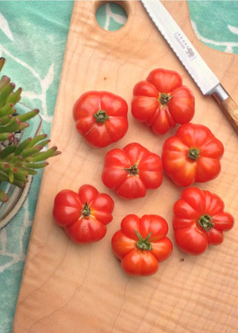 Early Red Slicers & Saladette