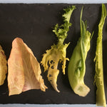 Load image into Gallery viewer, Curly Endive, 'Bellesque'
