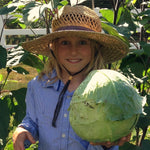 Load image into Gallery viewer, Cabbage, 'Columbia'
