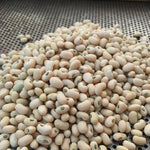 Load image into Gallery viewer, Cowpea, 'Fast Lady Northern/Southern Pea'
