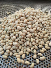 Load image into Gallery viewer, Cowpea, 'Fast Lady Northern/Southern Pea'
