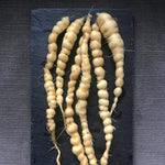 Load image into Gallery viewer, Cucumber (Mexican Sour Gherkin, Cucamelon), 'Sandita'
