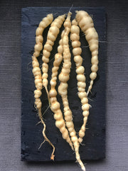 Load image into Gallery viewer, Cucumber (Mexican Sour Gherkin, Cucamelon), 'Sandita'
