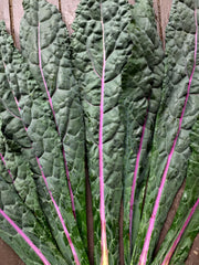 Load image into Gallery viewer, Kale, 'Dazzling Blue'
