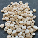 Load image into Gallery viewer, Sweet Lupine, 'Dieta'
