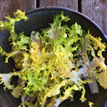 Load image into Gallery viewer, Curly Endive, 'Bellesque'
