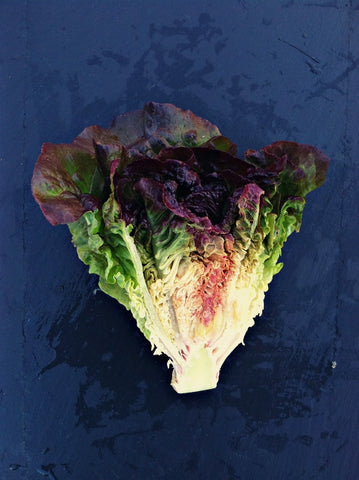 Romaine