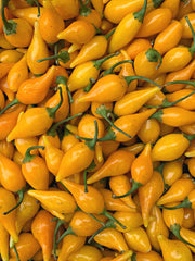 Load image into Gallery viewer, Hot Pepper, 'Biquinho Yellow'
