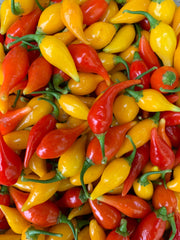 Load image into Gallery viewer, Hot Pepper, 'Biquinho Red'

