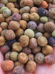 Load image into Gallery viewer, Pea, Dry/Soup, 'Roveja'
