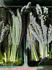 Load image into Gallery viewer, Kale, 'Lapo' (Lacinato, Nero di Toscana)
